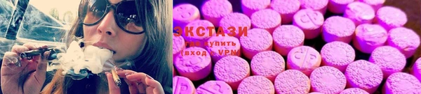 гидра Снежногорск