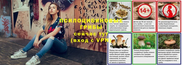 бошки Слюдянка