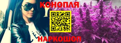 гидра Гай