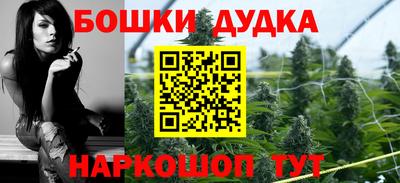 гидра Гай