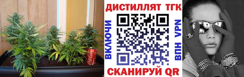 магазин продажи   Гатчина  ТГК THC oil 