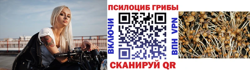 хочу   Гатчина  MEGA ССЫЛКА  Псилоцибиновые грибы MAGIC MUSHROOMS 