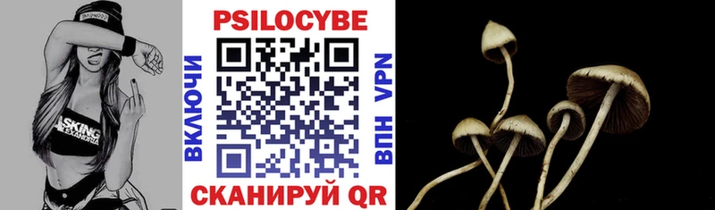 Псилоцибиновые грибы Psilocybine cubensis Гатчина