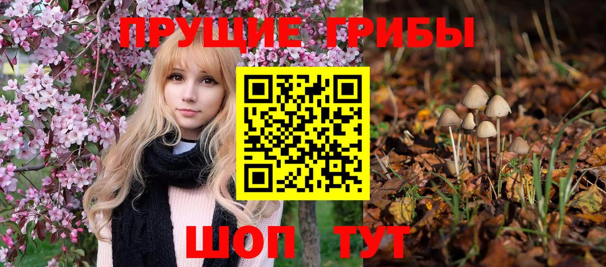 Галлюциногенные грибы мицелий Гатчина