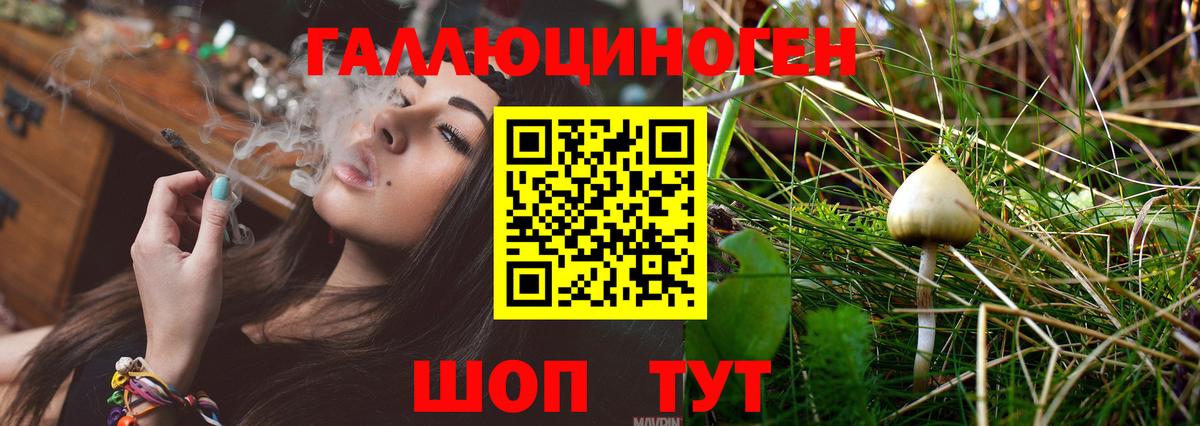 Гатчина  Псилоцибиновые грибы прущие грибы  Вход с VPN 