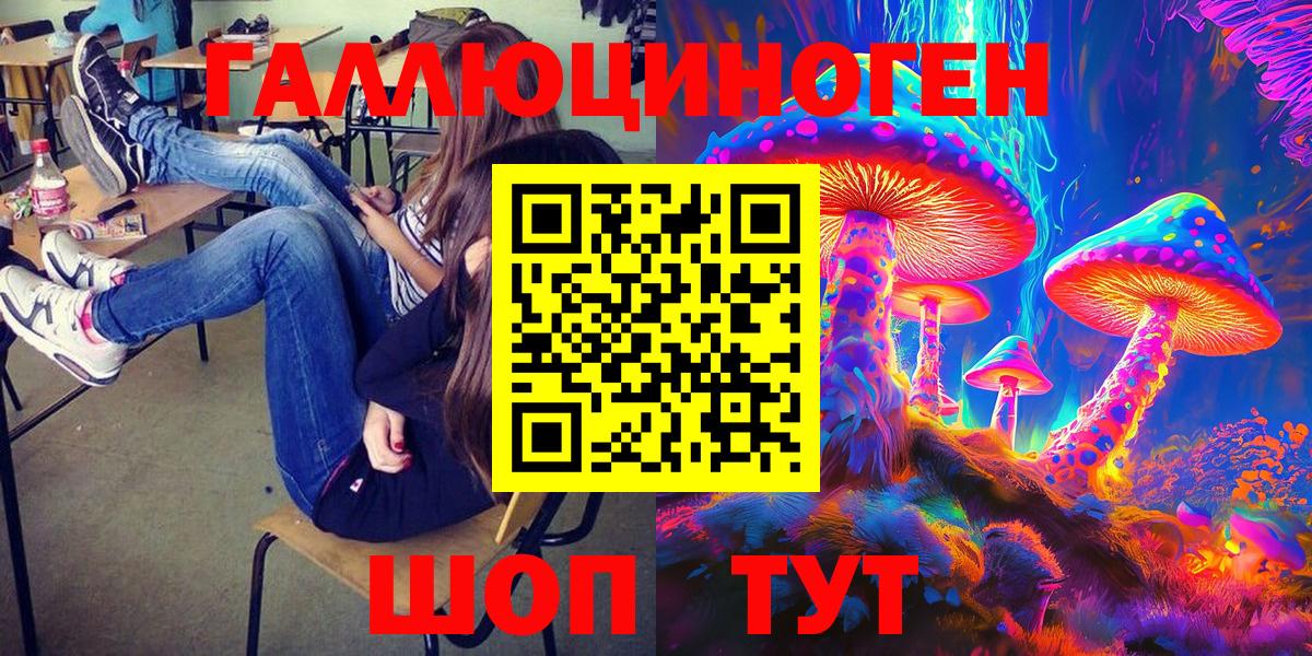 Псилоцибиновые грибы Psilocybe  Гатчина  Псилоцибиновые грибы Psilocybe 